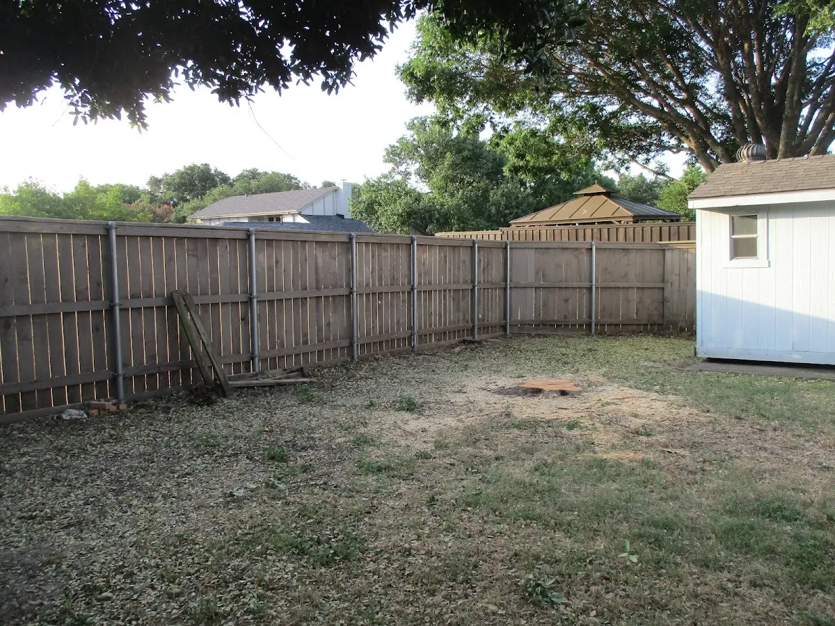 Cleared yard after professional tree removal in Jasonville